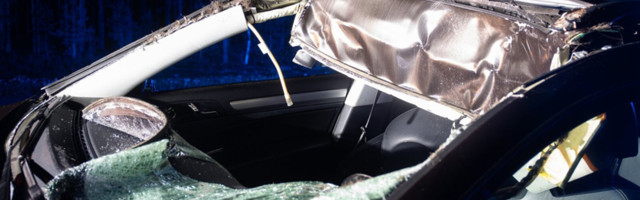 На шоссе Таллинн-Нарва лось выбежал перед автомобилем. Семья в больнице