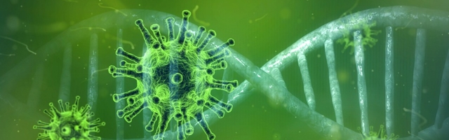 За минувшие сутки добавились 6 позитивных тестов на COVID-19, умер один человек