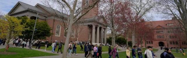 Гарварду предложили открыть «кампус в изгнании» в Германии