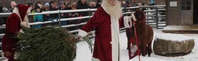 Деды Морозы с 23 по 26 декабря могут бесплатно ездить на поездах Elron