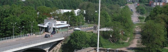 Гражданин Швеции незаконно вплавь пересек российско-эстонскую границу