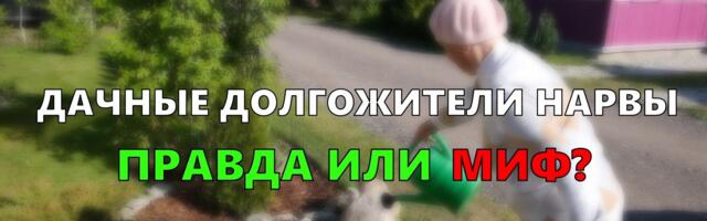 ВИДЕО| Дачные долгожители Нарвы – правда или миф?