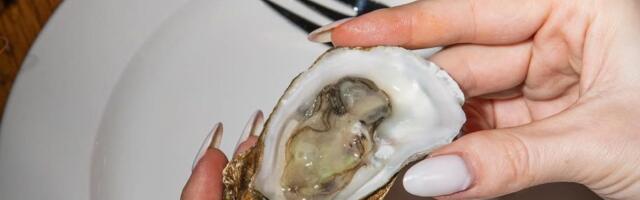 Там, где к устрицам наливают стаут: в центре Таллинна открылся ресторан морепродуктов