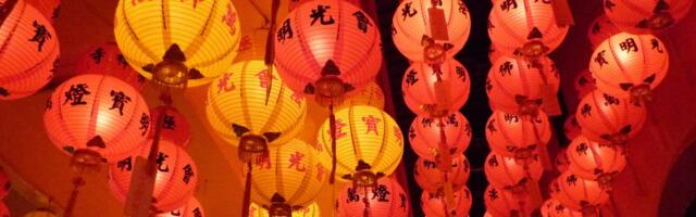 Cветовая скульптура лошади, карусель и зрелищное шоу: в Ротерманне ярко отметят китайский Новый год