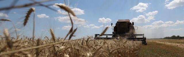 Конец „зерновой сделки“: что это означает и чего ожидать?