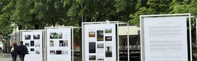 Фотопроект «Одиночество не спрашивает о возрасте» покажут и в Тарту