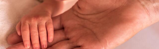 Желающих стать опорными лицами в Нарве очень много