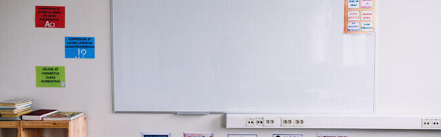 Двуязычных учебников для переходного периода в школах Эстонии не планируется