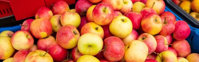 ОБЗОР ЦЕН | Яблоки значительно подорожали