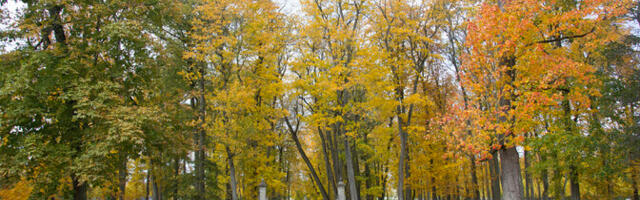 Во вторник малооблачно или переменная облачность, без осадков, +5.. +10