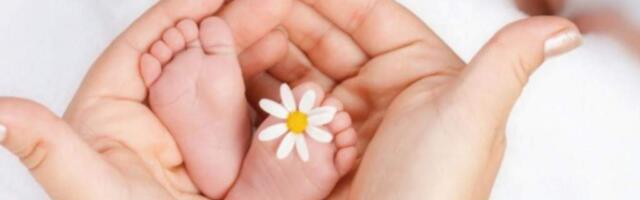 В  Эстонии может быть установлен антирекорд по рождаемости