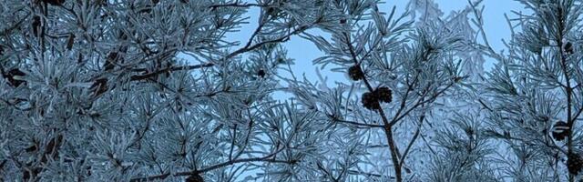 В четверг облачно с прояснениями, местами пройдет слабый снег, –6.. –13