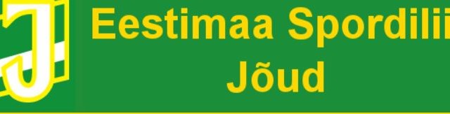 Петанк: команда Ида-Вирумаа выиграла чемпионат “Йыуд” по петанку