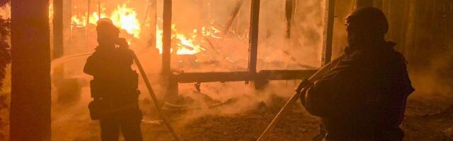 РФ ударила 118 дронами и ракетой по энергоструктуре Украины