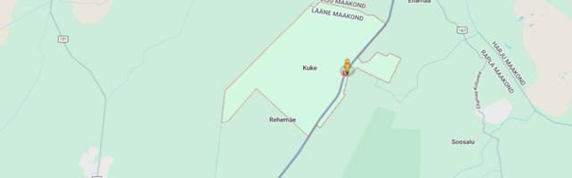 В лобовом столкновении автомобилей в волости Ляэне-Нигула погибли два человека