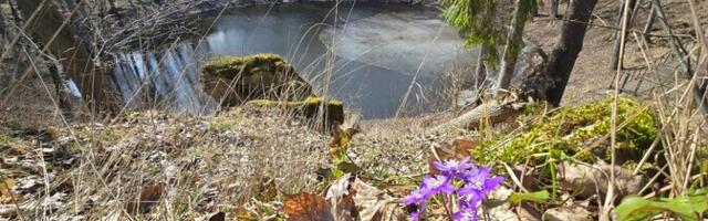 В четверг малооблачно, местами пройдет дождь, +7..+12