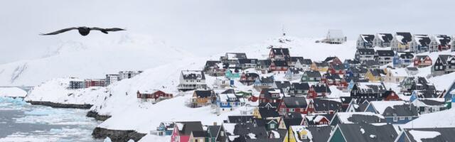 Пост жены советника Дональда Трампа о Гренландии заставил датского посла забить тревогу