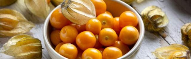 Физалис: что это, вкус, польза и вред, как его едят