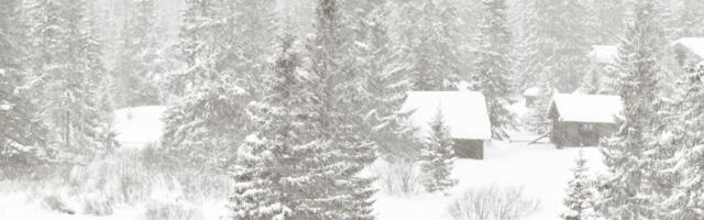 К вечеру начнётся снежная буря: спасатели советуют быть осторожными