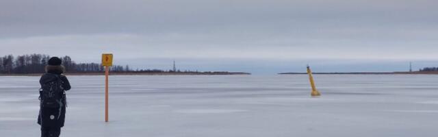 Суд Псковской области: гражданина Эстонии отправили в СИЗО за незаконное пересечение границы