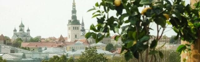 Легендарная терраса на крыше Solaris вновь открыта — здесь подают итальянские блюда и играет музыка