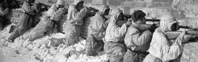 Подлинны ли эти записи из дневника немецкого солдата, воевавшего под Сталинградом?