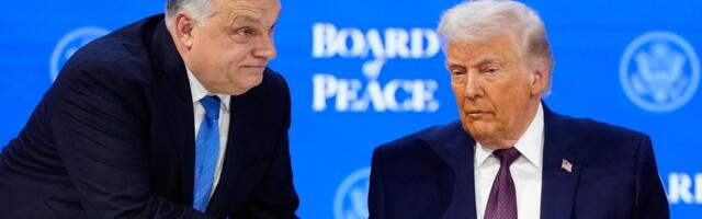 Трамп выразил поддержку Орбану на предстоящих парламентских выборах в Венгрии