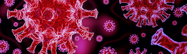 Ученые придумали, как уничтожать коронавирус за полсекунды