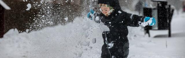 В Таллинне 4-летний ребенок ушел на прогулку из детсада, воспитатель получил предупреждение