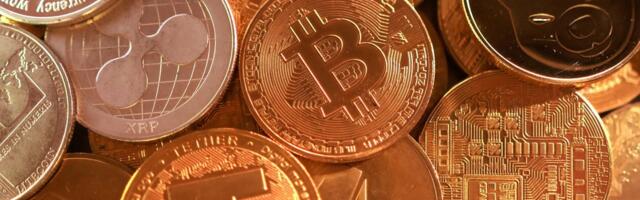 Эстонская компания „криптокороля“ выплатила рекордные дивиденды