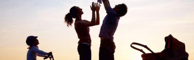 Социальные услуги и другая помощь семьям,  воспитывающим детей в Литве