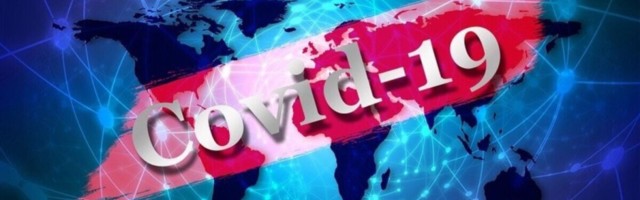 Три позитивных результата тестов на коронавирус