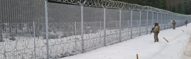 В 2025 году остановлено 12 046 попыток пересечь границу нелегально