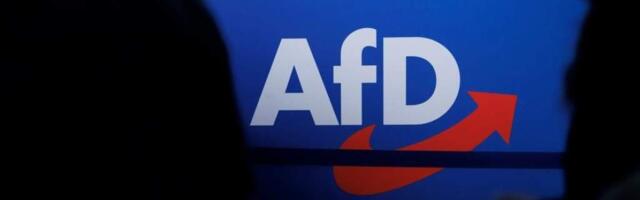 АдГ в Саксонии-Анхальт хочет выслать украинцев и ввести уроки русского языка