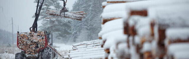 Фермеры и лесовладельцы потребовали прекратить составление программы по восстановлению природы