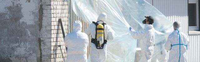 В Китае и Монголии появились случаи бубонной чумы. Что это такое и насколько опасно?