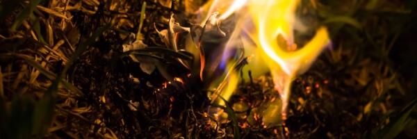 За последние три дня потушено 55 пожаров прошлогодней травы