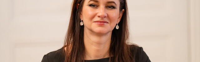 В Литве подтвердили, что упавший на территории страны беспилотник был украинским