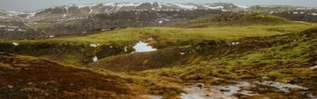 ДНК показало, кем на самом деле были щенки, умершие 14 тысяч лет назад в Сибири