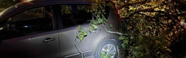 Спасательный департамент просит жителей Западной и Южной Эстонии подготовиться к грозе