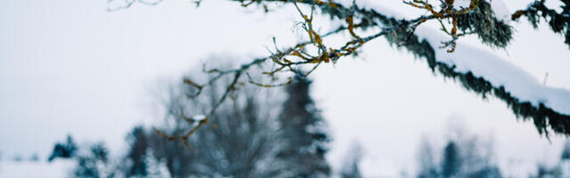 Во вторник ожидается облачная погода, -1..-8