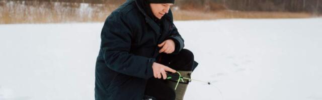 Как ловить плотву зимой: снасти, способы ловли, техника, места обитания
