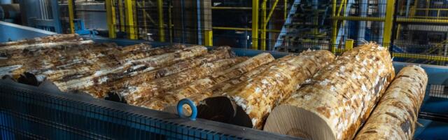 Фирма обанкротилась, долги остались: платить придется лично владельцу