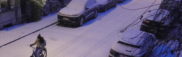 При нападении с ножом на демонстрации курдов в Антверпене пострадали шесть человек