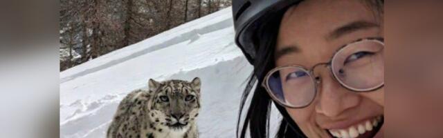Правдиво ли селфи китайской туристки, на которую напал снежный барс?