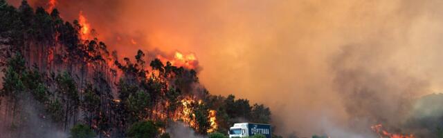 В Португалии и Испании бушуют лесные пожары. На Пиренеи пришла третья за лето волна аномальной жары