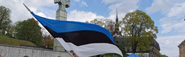 Ни шагу назад! Эстонский антиправительственный митинг вдруг заговорил по-русски