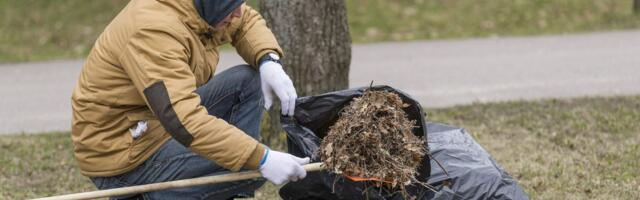 По всей Эстонии проходят толоки: зарегистрировано более 20 тысяч человек