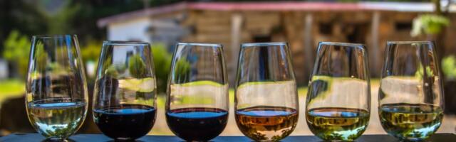 Винный фестиваль пройдёт по всей Эстонии: 7 хуторов, которые нужно посетить в первую очередь