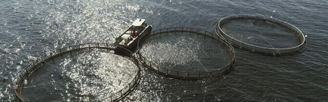 Латвийская компания купила за 2 млн евро эстонского производителя рыбной продукции